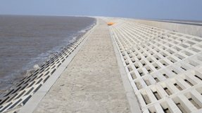 横沙东滩促淤圈围五期工程